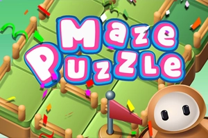 Maze Puzzle